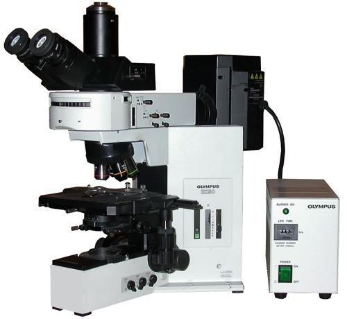 Olympus BX50 Microscope
