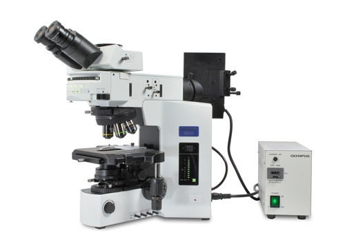 Olympus BX51 Microscope